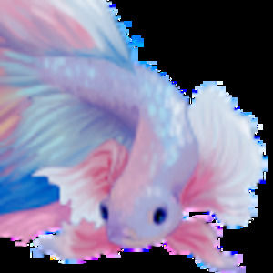 Meet your Posher, Kat